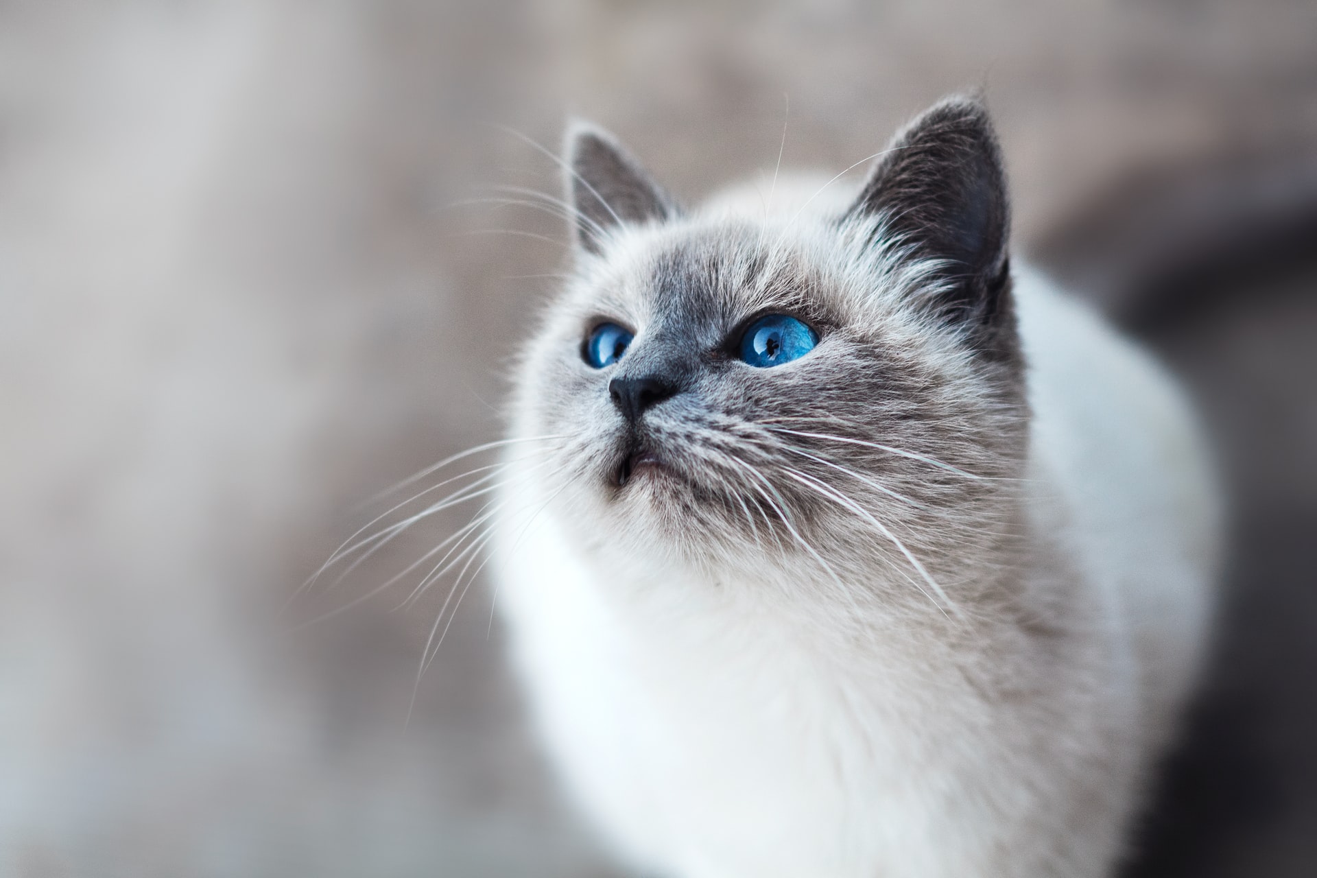 mikhail-vasilyev-IFxjDdqK_0U-unsplash (1) •Achiziții publice